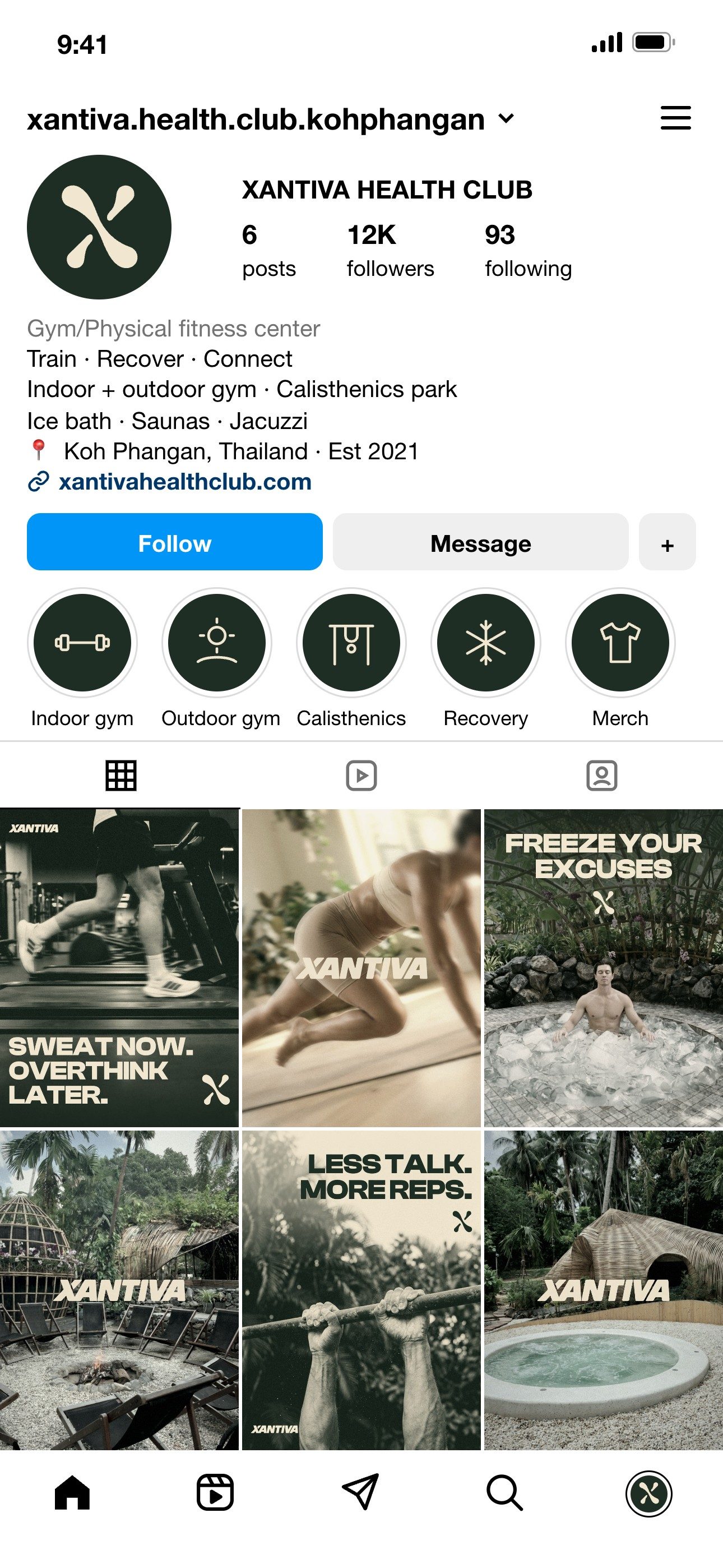 Instagram profile with the new Xantiva grid